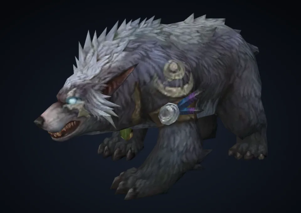 熊形态 · 黑色